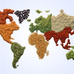 international-food-map-01